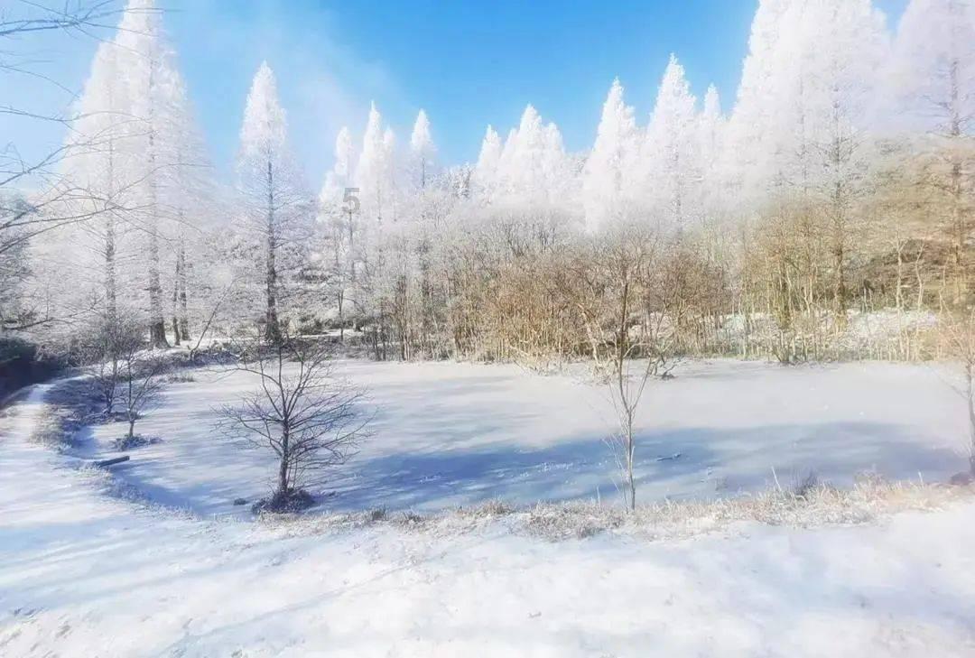 了解如何缓解长期加班造成的眼部疲劳?知识星球,满足你的学习需求